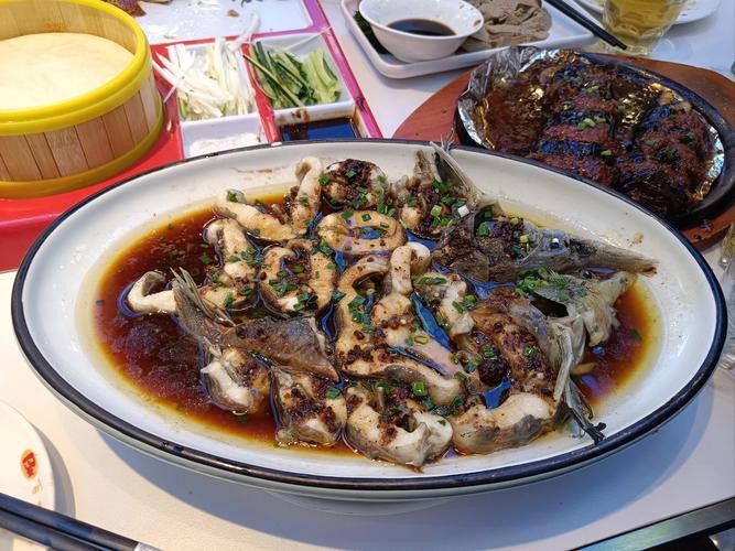中華鱘和鱘龍魚圖片