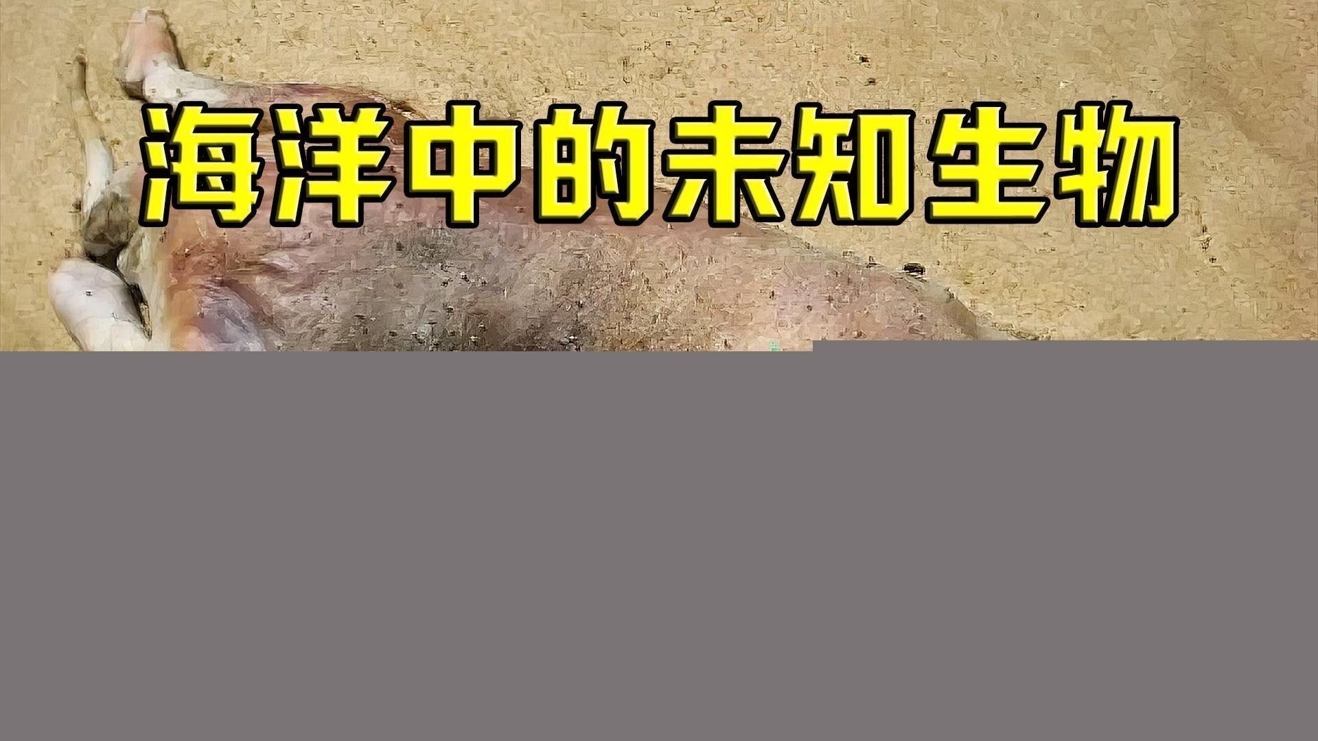 化骨龍魚圖片事件