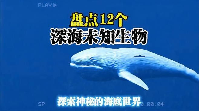 化骨龍魚圖片事件