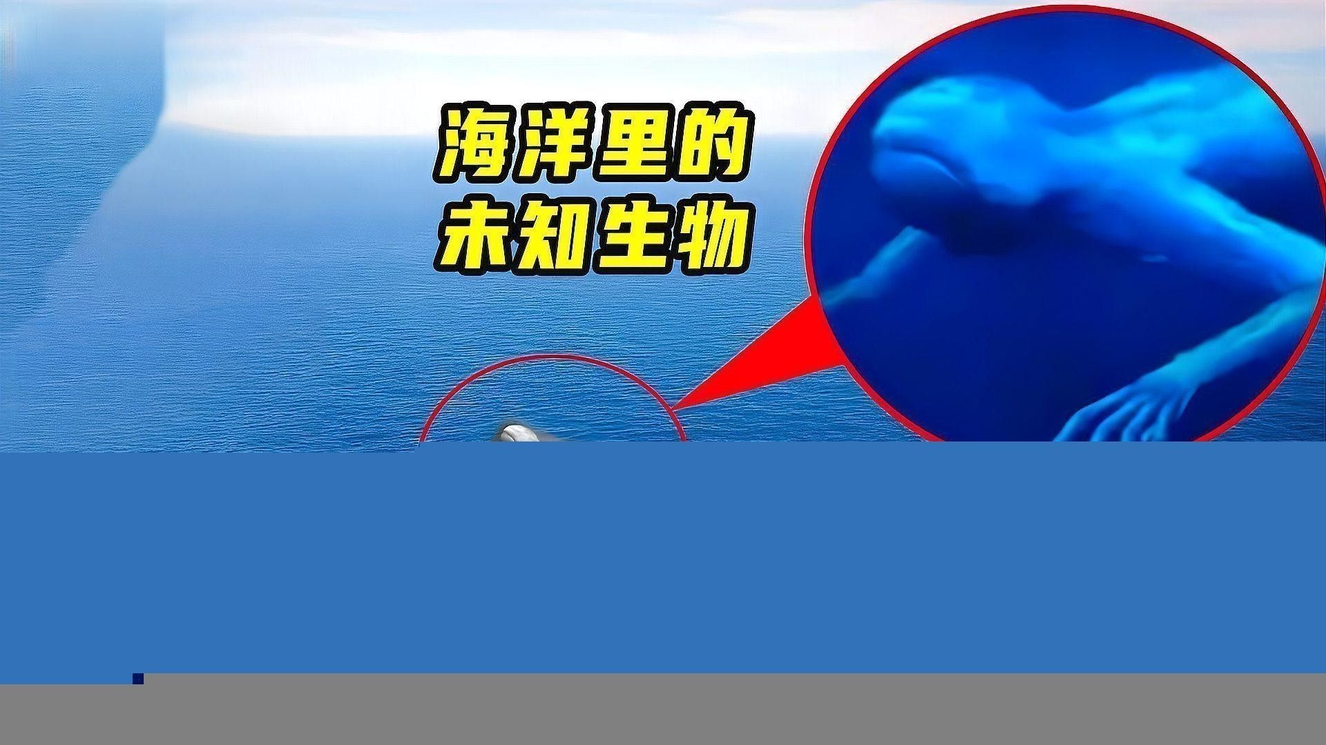 化骨龍魚圖片事件