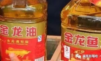金龍魚膠腥嗎怎么吃最好（如何挑選高質量的金龍魚膠）