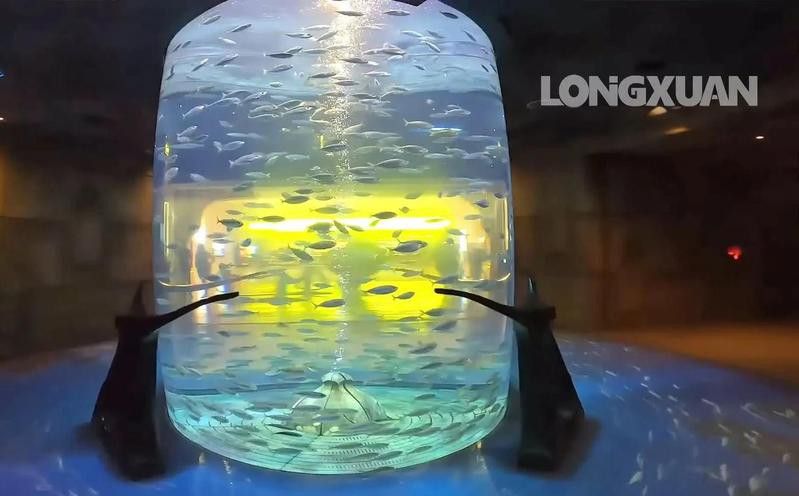 紅龍魚受到重金屬污染后如何處理？ 紅龍魚受到重金屬污染后如何處理？ 龍魚百科 第3張