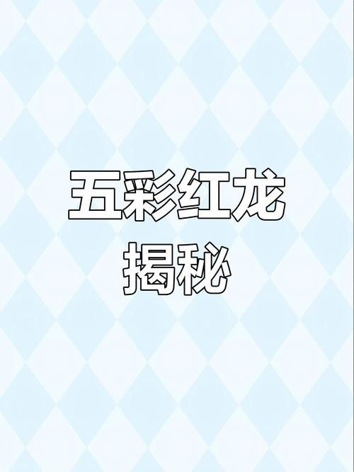 五彩金龍魚圖片大全大圖 龍魚百科 第5張 五彩金龍魚圖片大全大圖 五彩金龍魚圖片大全大圖 龍魚百科 第5張