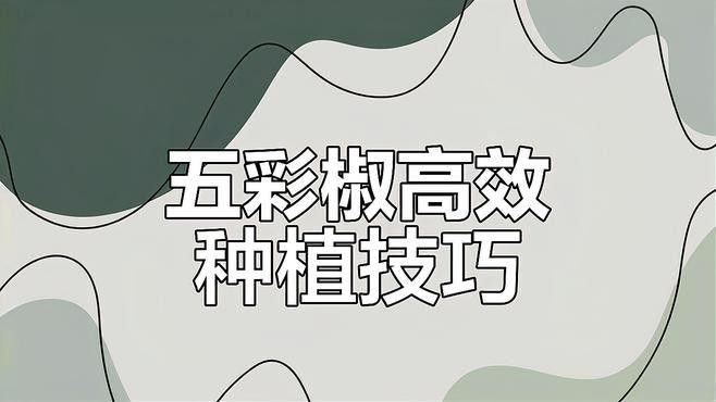 五彩金龍魚圖片大全大圖 五彩金龍魚圖片大全大圖 龍魚百科 第24張