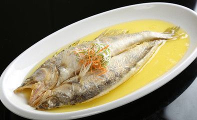 昌都龍魚專賣店：昌都龍魚專賣店聯系方式