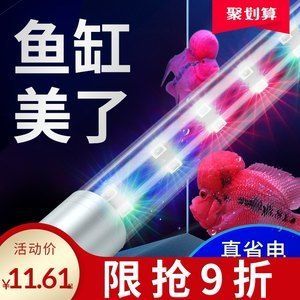 金龍魚燈管哪個好一點金龍魚燈管哪個好一點：金龍魚燈管哪個好 金龍魚燈管哪個好一點金龍魚燈管哪個好一點：金龍魚燈管哪個好 龍魚百科 第1張