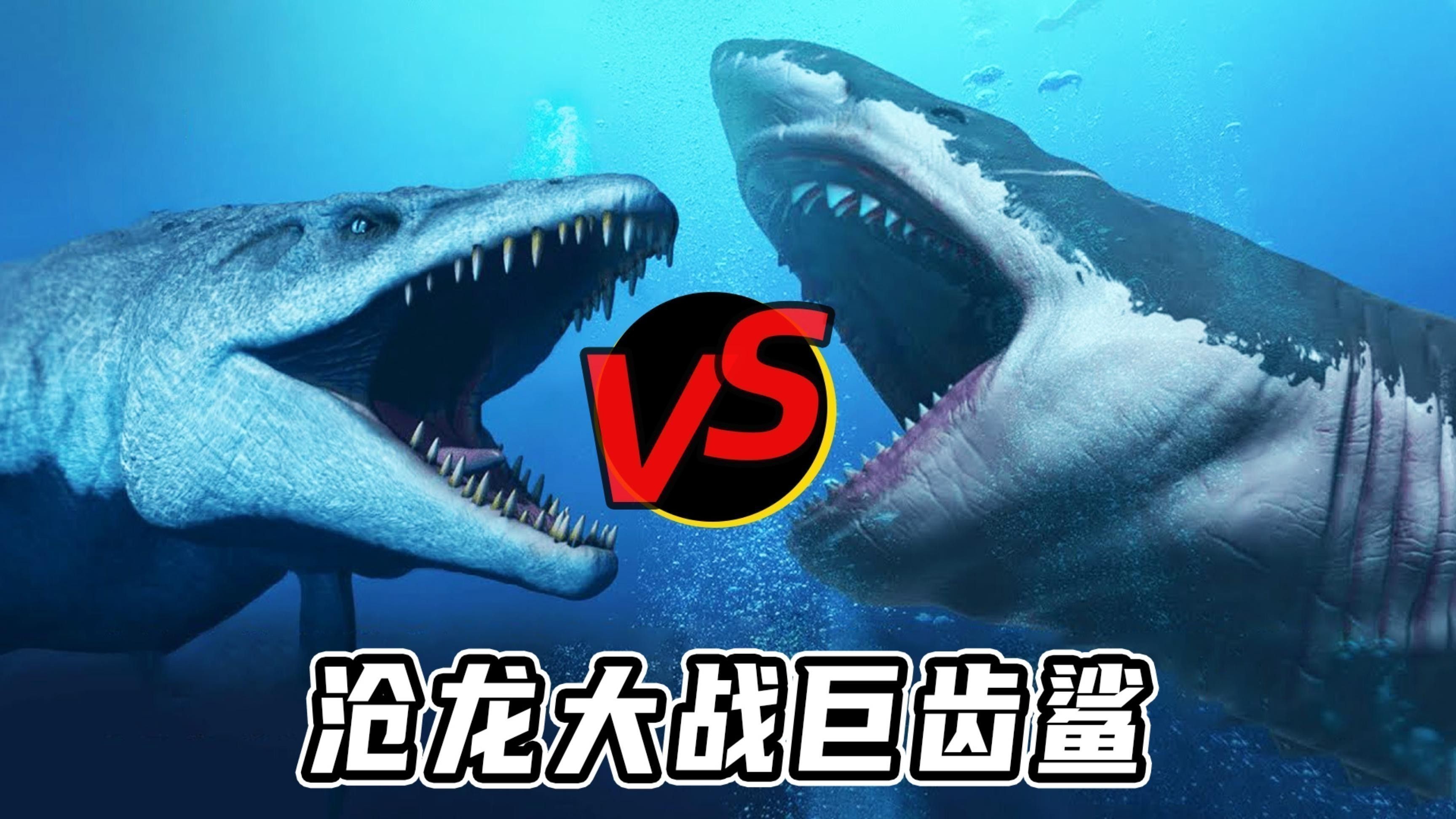 滄龍與巨齒鯊哪個更大？