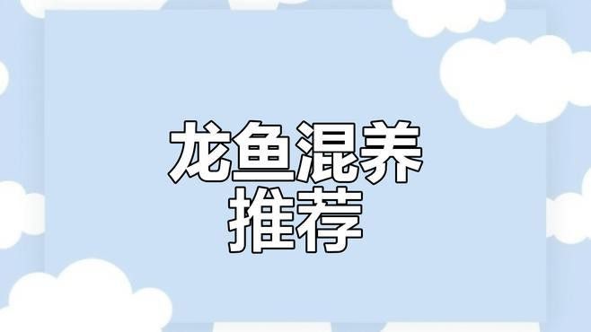 菠蘿魚能跟龍魚混養(yǎng)么