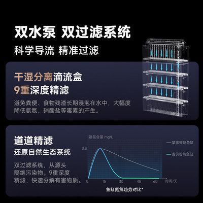 如何判斷龍魚是否認主人了：龍魚的忠誠與智慧，如何判斷它們是否認主？