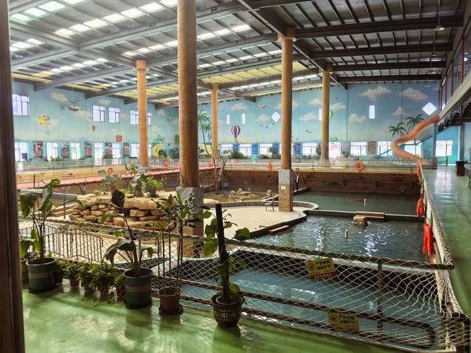 德陽龍魚專賣店