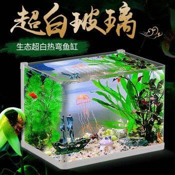 德陽龍魚專賣店