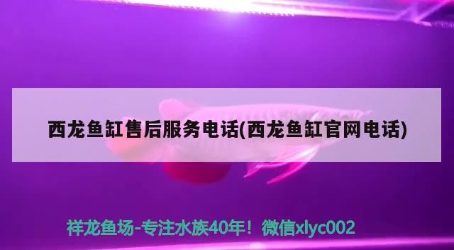 西龍魚缸售后服務電話(西龍魚缸官網電話) 西龍魚缸售后服務電話(西龍魚缸官網電話) 龍魚百科