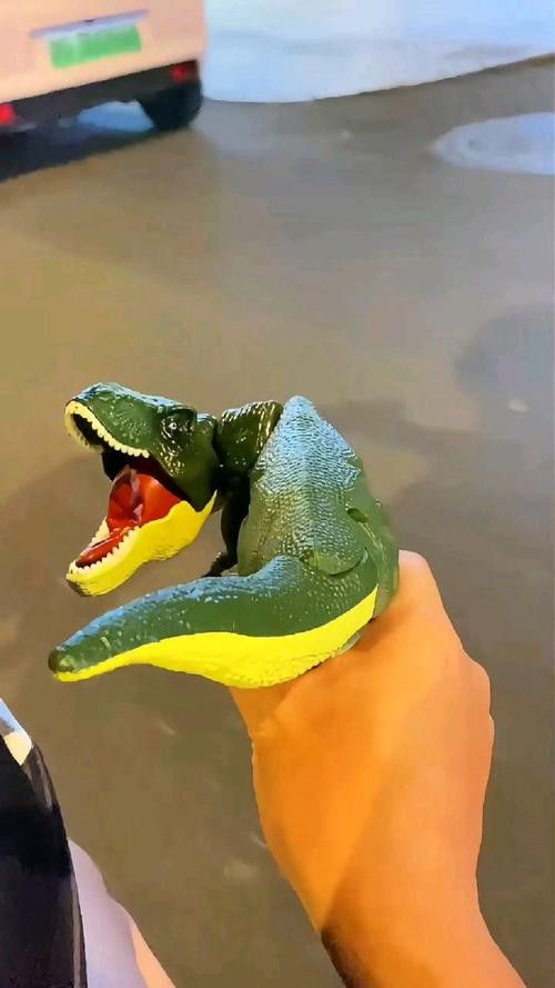 恐龍魚有多少種類圖片 恐龍魚有多少種類圖片 龍魚百科 第30張