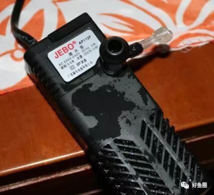 濟南龍魚交流群微信號是什么號