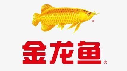 濟南金龍魚哪里買的到正品（濟南哪里可以買正品金龍魚）