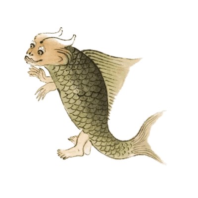 龍魚攻擊性行為的緩解方法：如何緩解龍魚的攻擊性行為