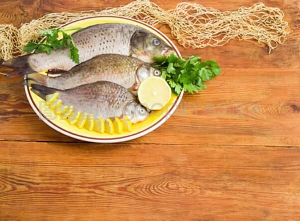 龍魚混養會打架嗎圖片：龍魚混養會打架嗎？全面解析龍魚混養的關鍵因素