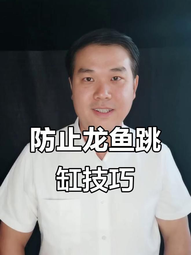 龍魚撞缸后多久會(huì)恢復(fù)