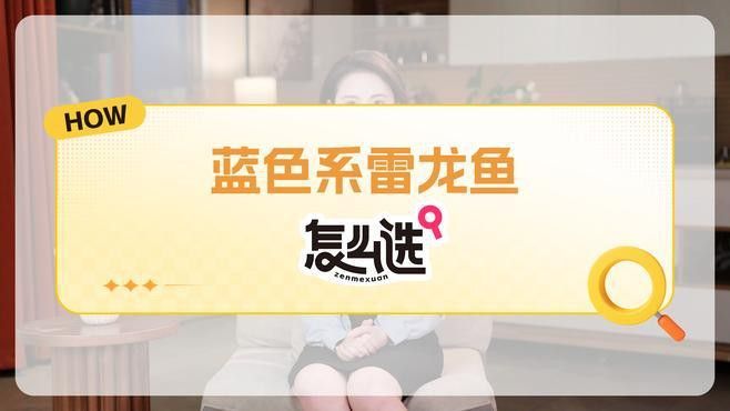 如何區分不同品種的藍色系雷龍？