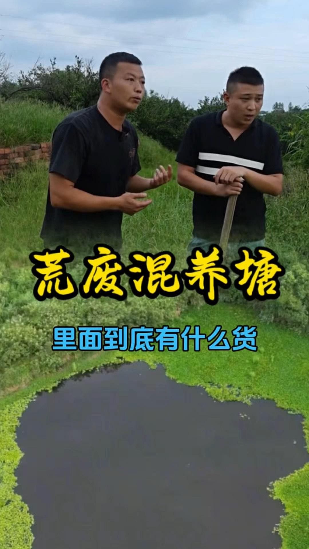 混養雷龍魚需要多大的水流？ 混養雷龍魚需要多大的水流？ 龍魚百科 第2張