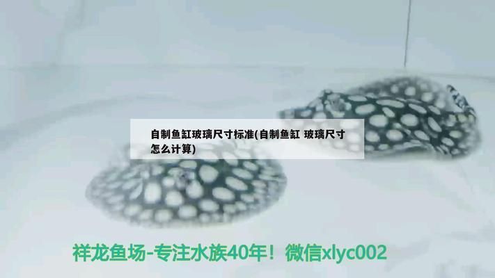 龍魚(yú)之家魚(yú)缸玻璃計(jì)算器：魚(yú)缸玻璃計(jì)算器