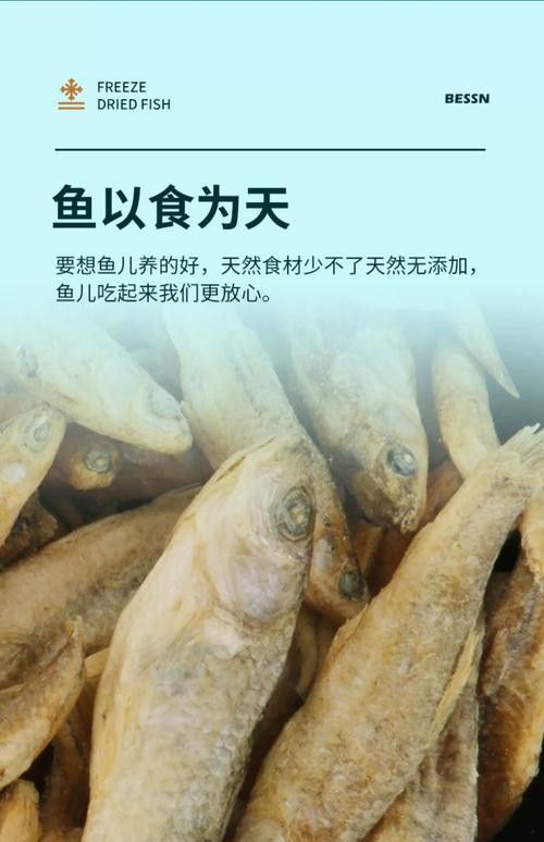 銀龍魚喂啥 銀龍魚喂啥 龍魚百科 第4張