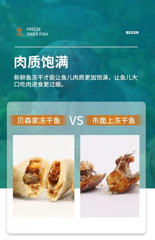 銀龍魚喂啥 銀龍魚喂啥 龍魚百科 第6張