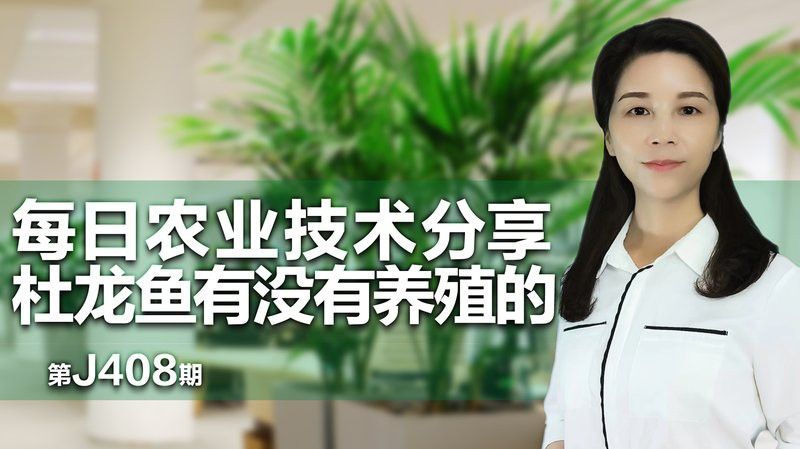 淡水土龍魚圖片大全高清