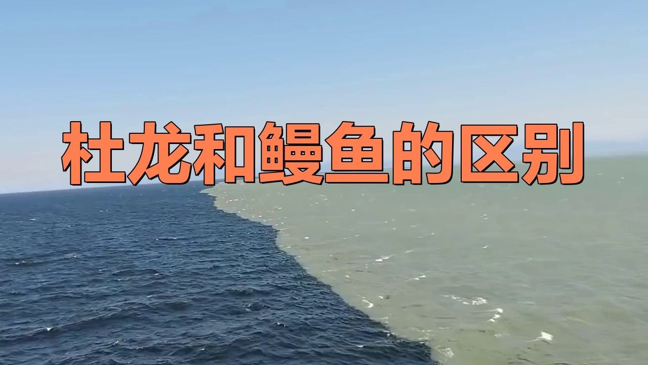 淡水土龍魚圖片大全高清
