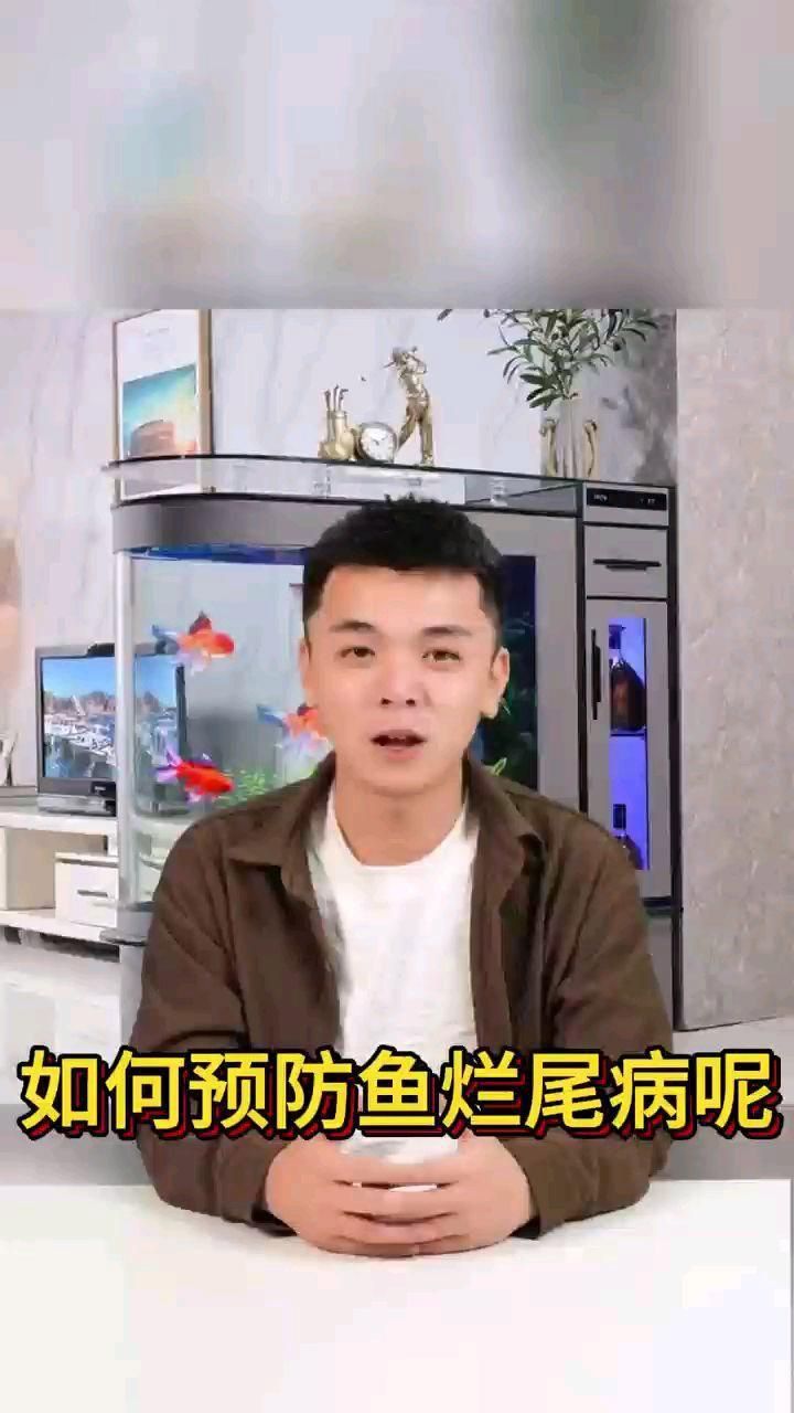 如何預(yù)防金魚再次爛尾? 龍魚百科 第4張 如何預(yù)防金魚再次爛尾? 如何預(yù)防金魚再次爛尾? 龍魚百科 第4張