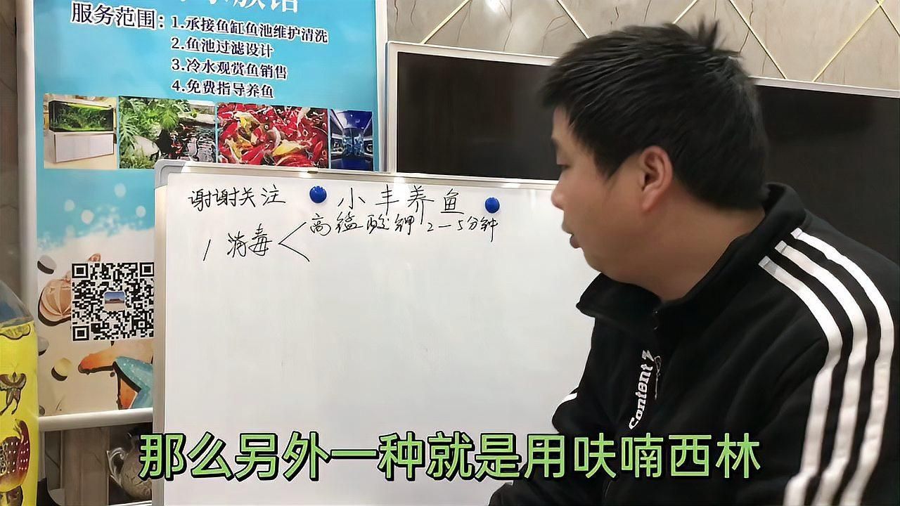 如何預(yù)防金魚再次爛尾? 龍魚百科 第9張 如何預(yù)防金魚再次爛尾? 如何預(yù)防金魚再次爛尾? 龍魚百科 第9張