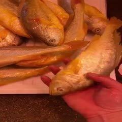 海魚金龍魚的價格多少錢一斤 海魚金龍魚的價格多少錢一斤 龍魚百科 第10張