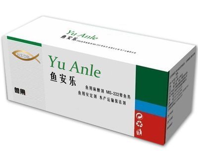 龍魚可以和燈魚混養嗎視頻：龍魚可以和燈魚混養嗎？混養指南與注意事項