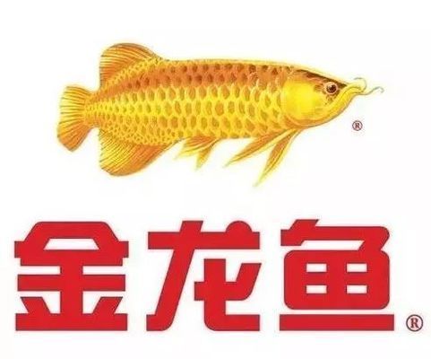 金龍魚和中糧的關系圖：金龍魚與中糧之間的關系圖揭示了兩家公司之間復雜的業務聯系和<strong><mark>合作</mark></strong>關系