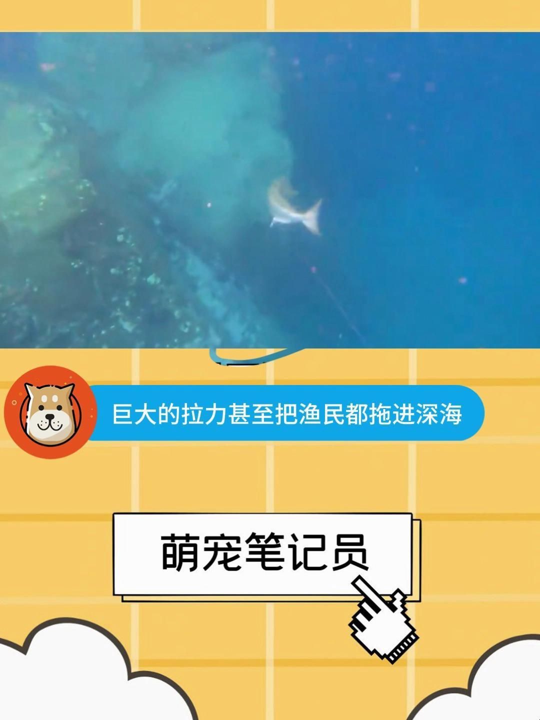 巨型鲹魚