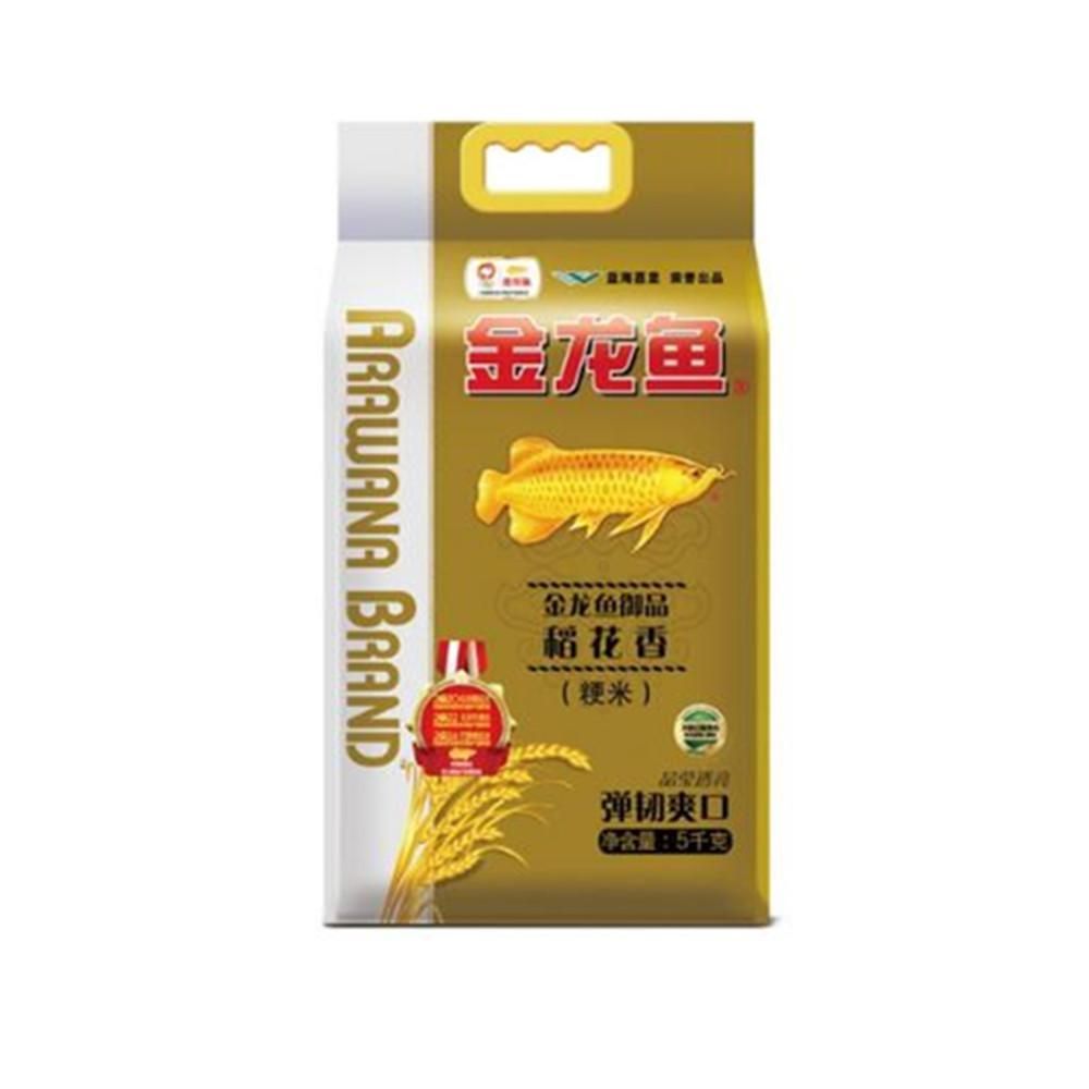 金龍魚沉頭的處理方式:如何處理金龍魚沉頭問題 龍魚百科 第2張 金龍魚沉頭的處理方式:如何處理金龍魚沉頭問題 金龍魚沉頭的處理方式:如何處理金龍魚沉頭問題 龍魚百科 第2張