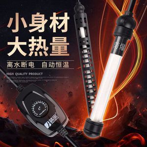 龍魚什么時候不用加熱棒：龍魚養殖溫度控制技巧,不同季節養龍魚注意事項 龍魚什么時候不用加熱棒：龍魚養殖溫度控制技巧,不同季節養龍魚注意事項 龍魚百科 第4張