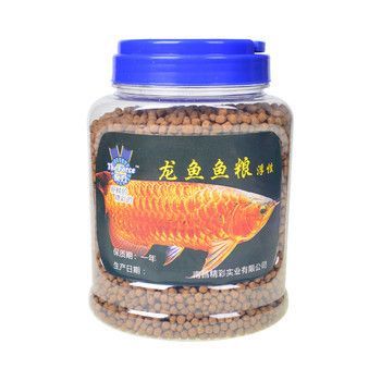 龍魚糧哪個品牌好吃又實惠的：龍魚糧哪個品牌好吃又實惠
