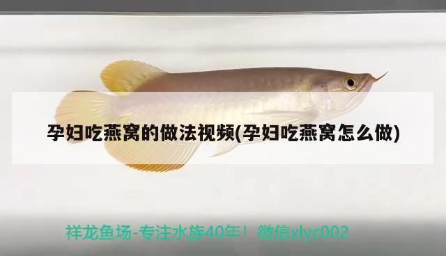 森森魚缸1200ed使用方法，森森魚缸1200ed使用方法分析森森魚缸1200ed使用方法