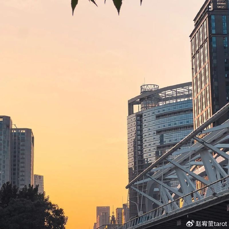 紅龍微信頭像有哪些禁忌？