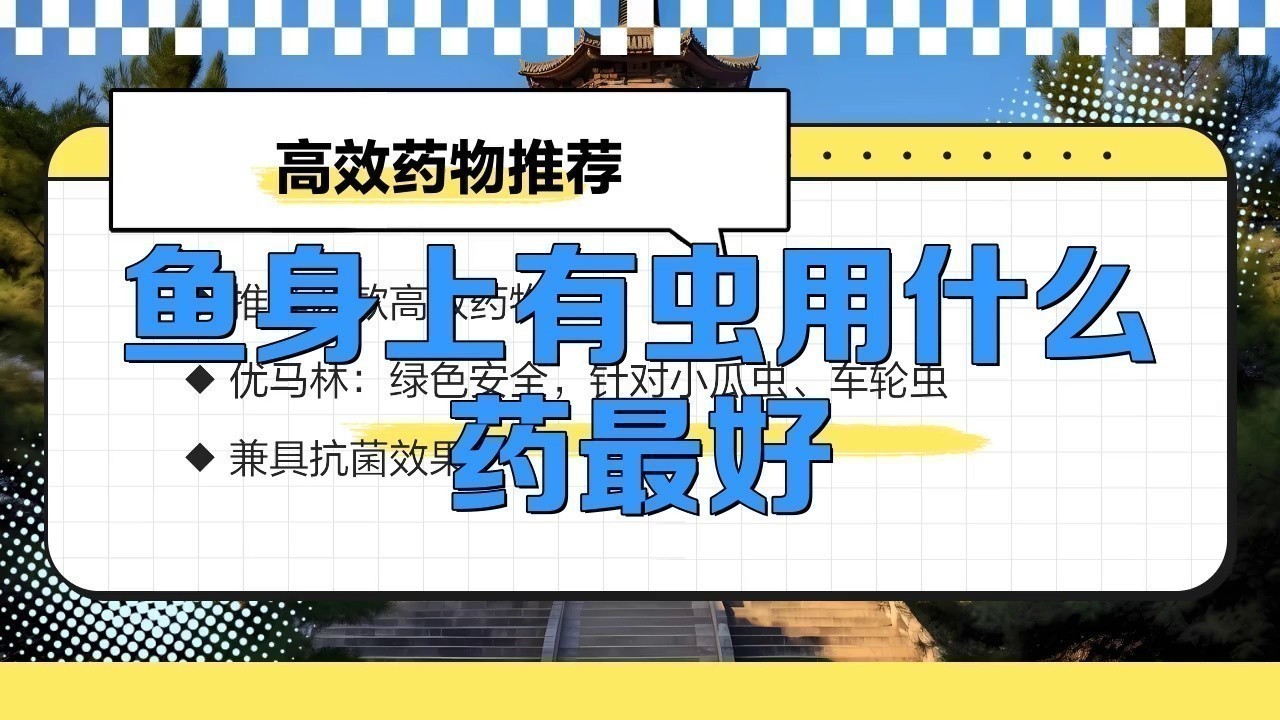 有哪些藥物可以有效治療龍魚寄生蟲？ 有哪些藥物可以有效治療龍魚寄生蟲？ 龍魚百科 第3張