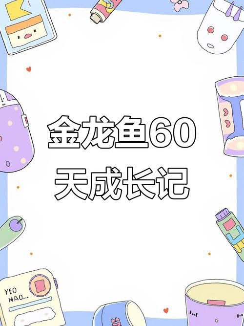 金龍魚小時(shí)候長(zhǎng)什么樣子圖片視頻