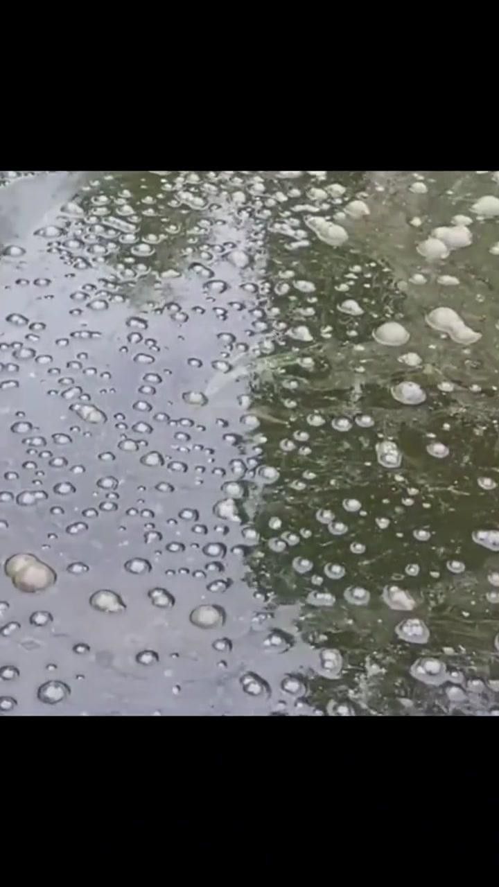 如何判斷紅龍魚水質(zhì)是否穩(wěn)定？
