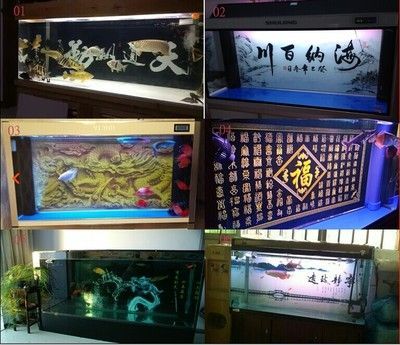 龍魚之家店的員工情況如何？：關(guān)于龍魚之家店員工的一些情況 龍魚之家店的員工情況如何？：關(guān)于龍魚之家店員工的一些情況 龍魚百科 第3張