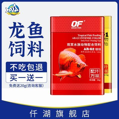 喂顆粒飼料的紅龍魚(yú)視頻：紅龍魚(yú)的喂養(yǎng)方法 喂顆粒飼料的紅龍魚(yú)視頻：紅龍魚(yú)的喂養(yǎng)方法 龍魚(yú)百科 第3張