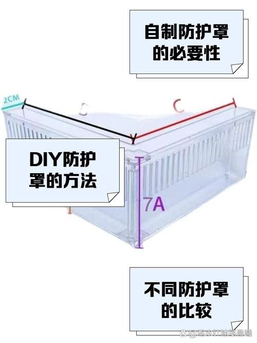 60cm缸養銀龍魚需要注意什么？