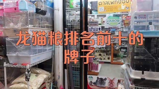 龍貓的主糧有哪些品牌推薦？