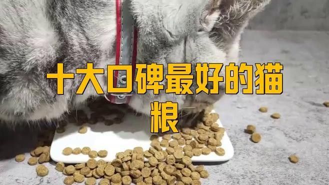龍貓的主糧有哪些品牌推薦？