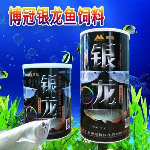 小銀龍魚吃什么飼料最好養 小銀龍魚吃什么飼料最好養 龍魚百科 第4張