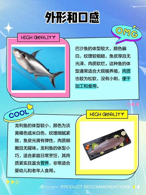 巴沙魚和龍魚是一種魚嗎圖片